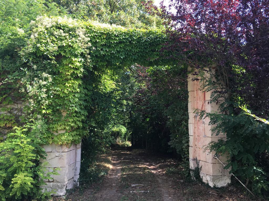 Apartament Les Terrasses De Chaumont 1 Montsoreau Zewnętrze zdjęcie